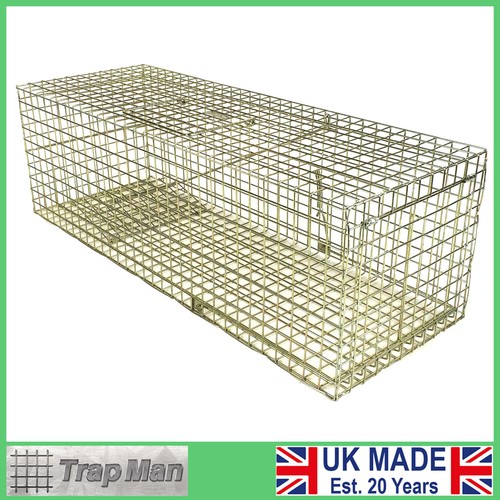 Cat trap humane - cat,
