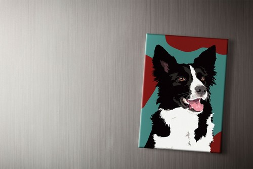 Border collie magnet - magnet, |