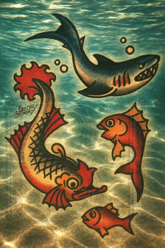 Sailor jerry swimming with - sailor, jerry's