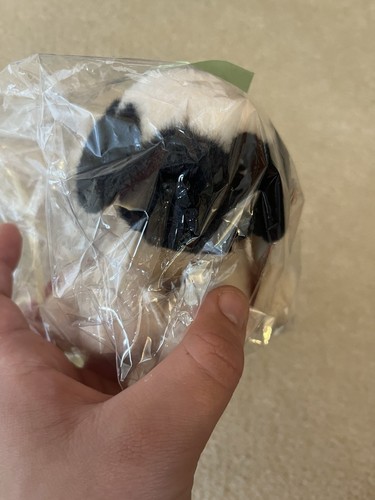 Russ poncho pedigree - russ, pups