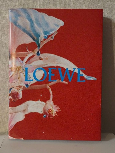 Loewe art book - loewe,
