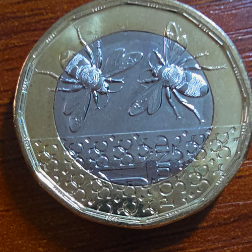 Very rare king - very, 111