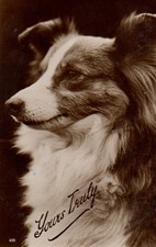 VINTAGE postcard:  BEAUTIFUL
