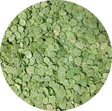 FLAKED PEAS 1kg Dried Flaked Peas Rabbit Food Small Animal Food Fishing 