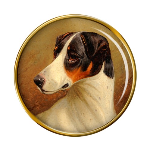 Head study fox terrier by - head,