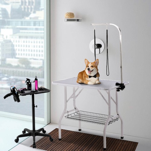 Large dog grooming table - dog,