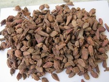 Spices Mart - Black Cardamom Whole Free UK P&P - Multiple Packs - New