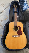 Walden D710 Acoustic Guitar