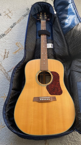 Walden d710 acoustic guitar - d710,