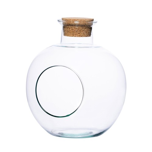 Glass terrarium vase planter - glass,