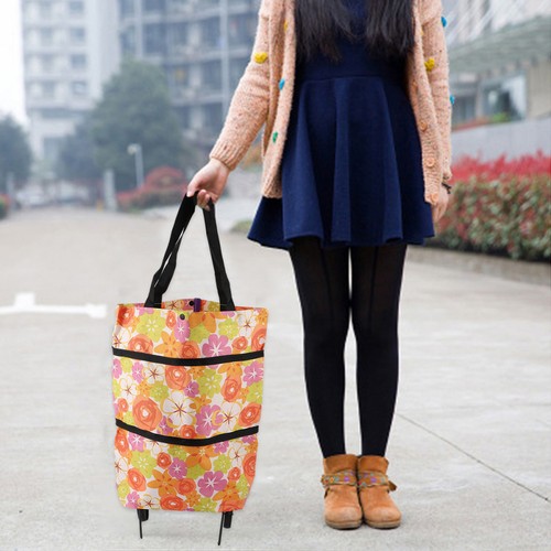 Foldable trolley shopping - ,