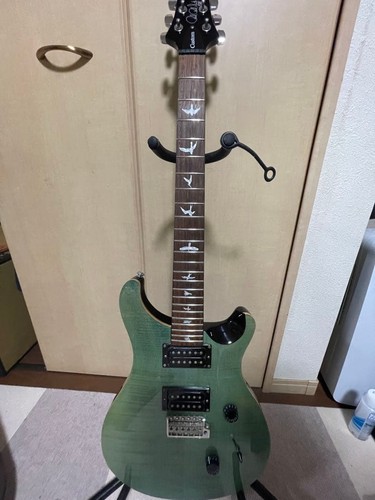 Prs custom - prs,