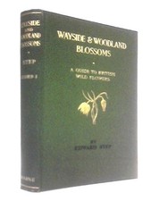 Wayside and Woodland Blossoms