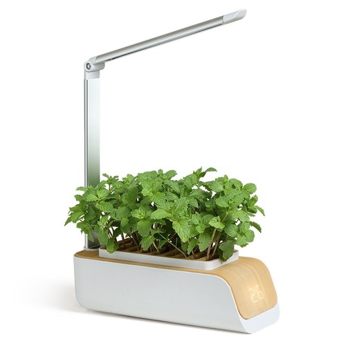 Smart indoor herb - smart,