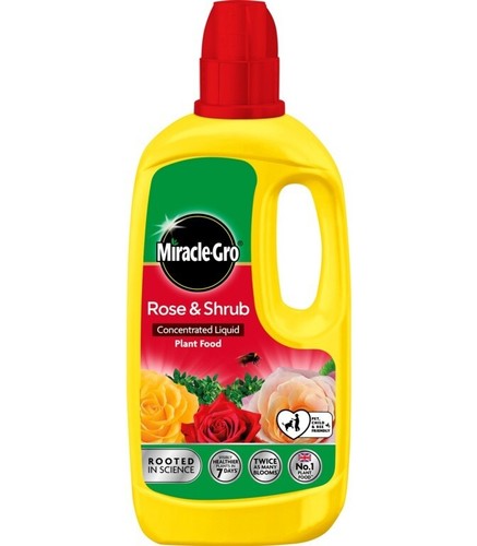 Miracle gro rose and shrub - and,