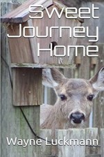 Sweet Journey Home (Rate of