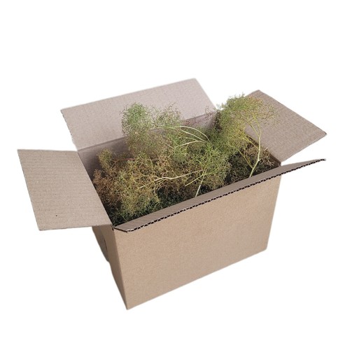Seafoam model trees box - seafoam,