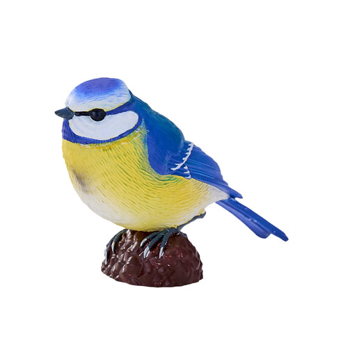 Mojo eurasian blue tit - tit, wild