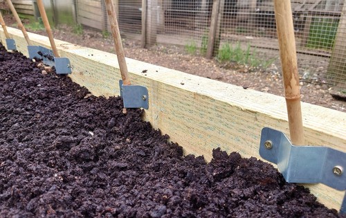 Grow your own - green, bean