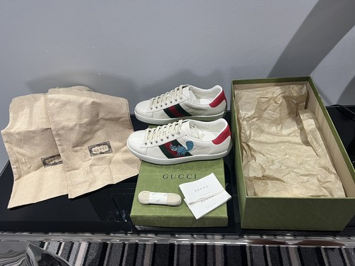 New gucci ace - ace, freya