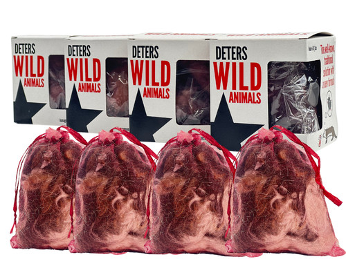 Wild animal fox badgers marten - animal,