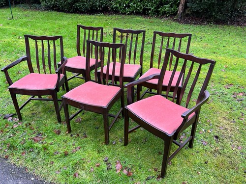 Minstrel stag dining - minstrel,