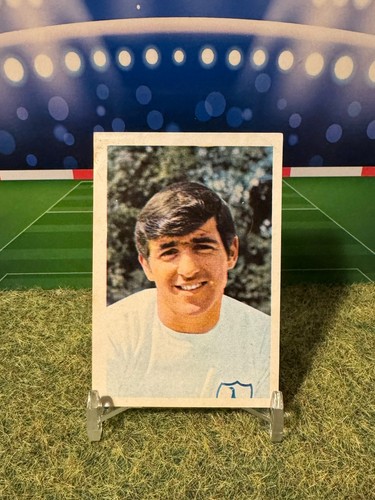 Fks soccer stars - fks,