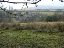 Photo A1 Rough pasture land