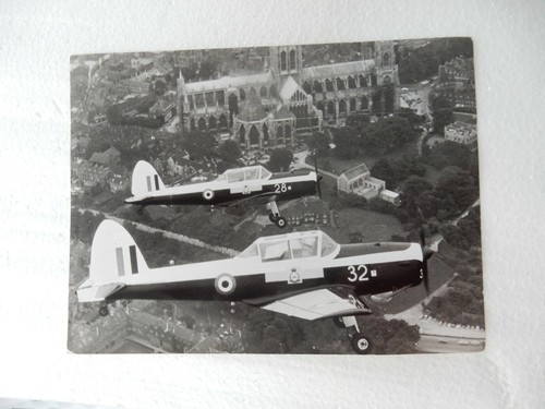 Chipmunks over york - york,
