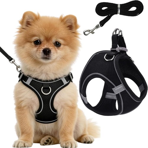 Dog harness for small - dog,