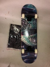 DISUPPO Skateboards,31" x