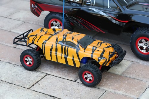 Custom body shell tiger - custom,