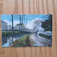 Lady's Walk, Wem, Shropshire  - Colour Photo Postcard 1905