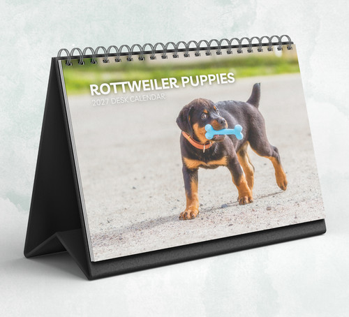 Rottweiler puppies desk - rottweiler,