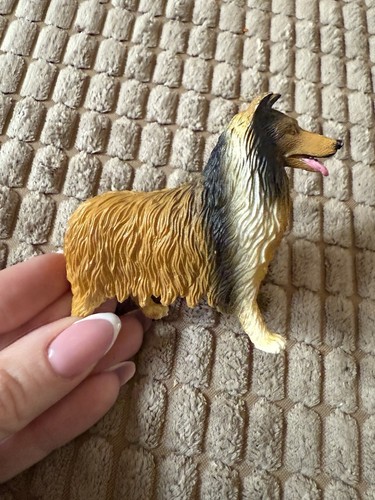Rough collie dog - rough, figure