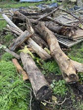 Logs Delivered More Than 3 One Ton Bags