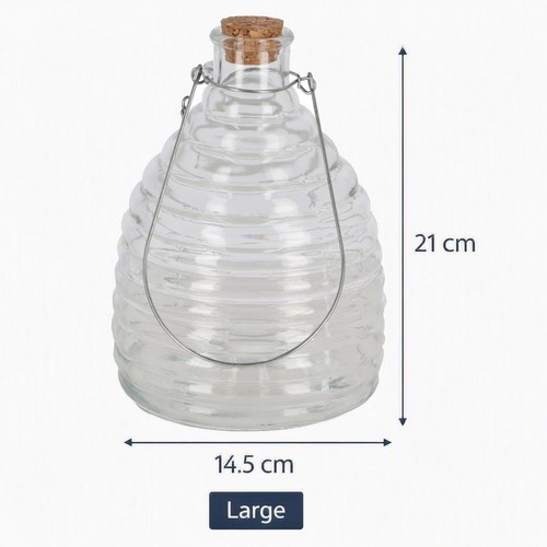 Glass wasp trap - wasp, beehive