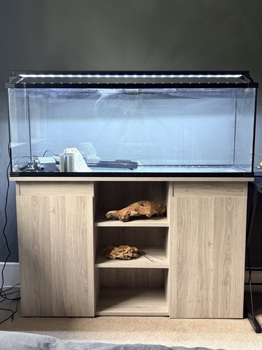 Large glass aquarium - glass, fish