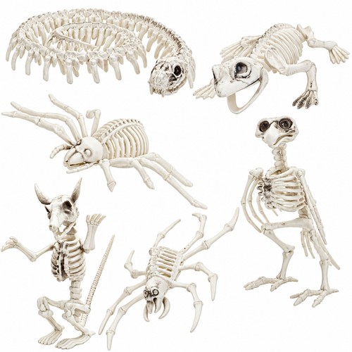 Halloween decorations animal - halloween,