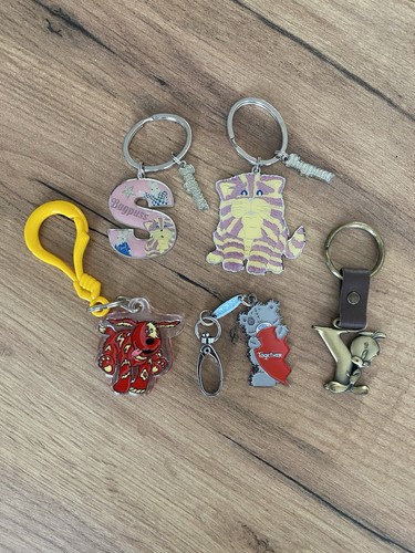 Mixed bundle 00s keyrings - keyrings,