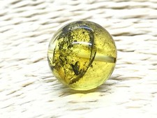 AMBER Round Bead With INSECT