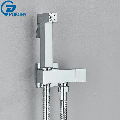 Chrome handheld toilet bidet - toilet,