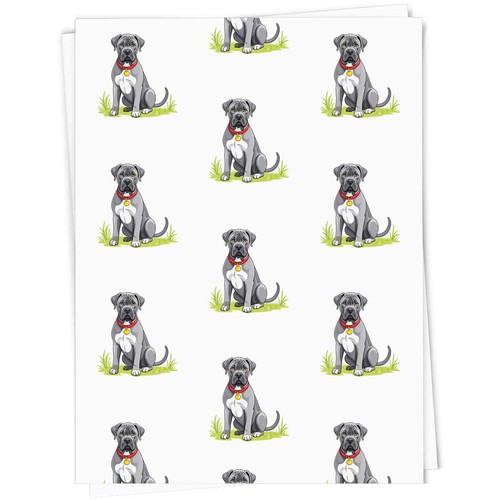 Cane corso dog - 'cane, /