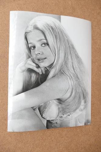 Ewa aulin candy - x, inch