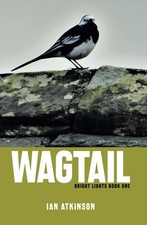 Wagtail: Bright Lights Book