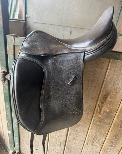 Jaguar black leather dressage - black,