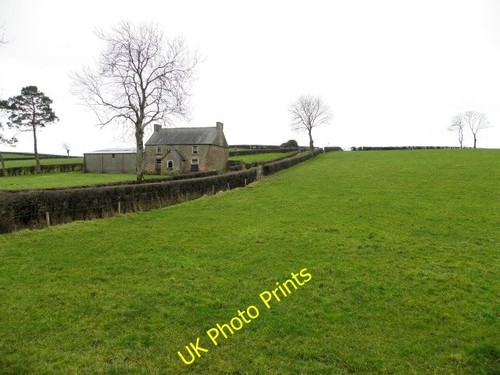 Photo 6x4 lismulladown - photo,