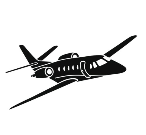 Private plane vinyl - private,