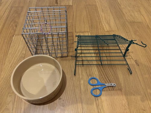Guinea pig bundle hanging - pig,