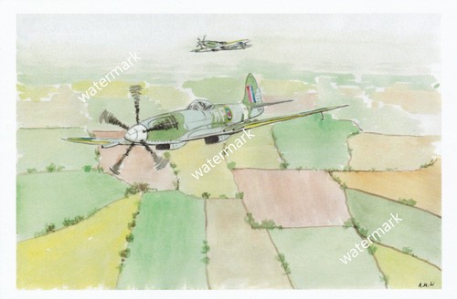 Print watercolour painting - watercolour,